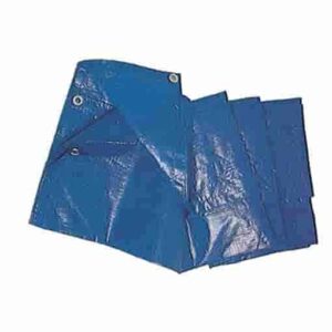 TELO OCCHIELLATO PE GR BLU 5X6 M