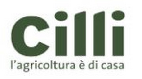 CILLI