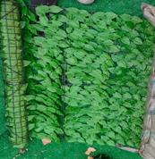 EDERA VERDE CHIARO RECINZIONE ARTIFICIALE 1M*3M